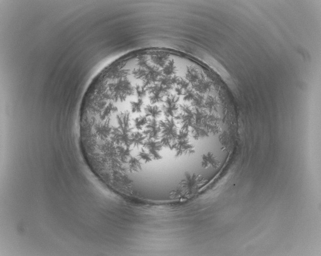 X0000115741028200911251955