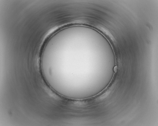 X0000115741029200911251955