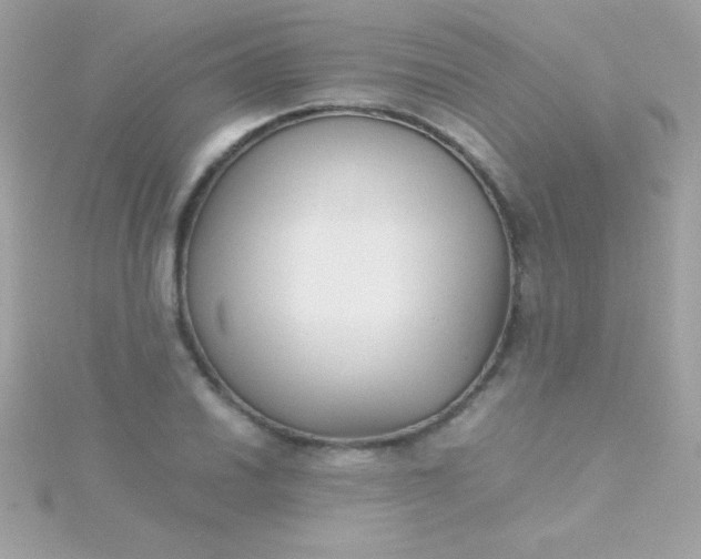 X0000115741030200911251955