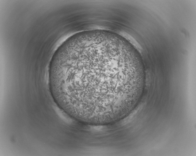 X0000115741031200911251955