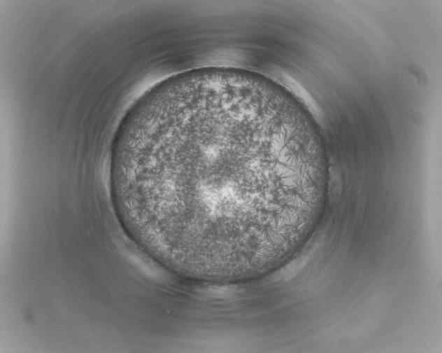 X0000115741035200911251955