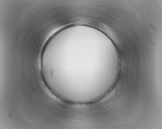 X0000115741036200911251955