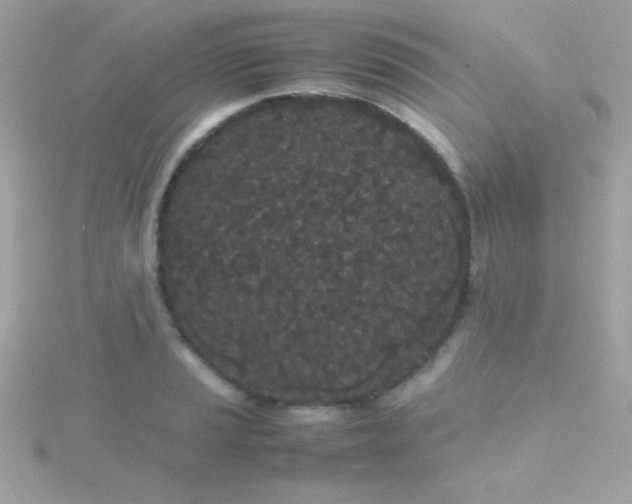 X0000115741037200911251955