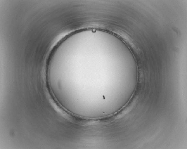 X0000115741038200911251955