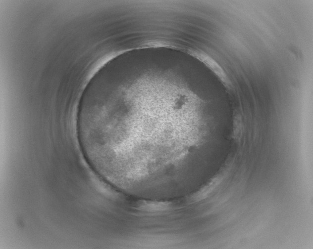 X0000115741039200911251955