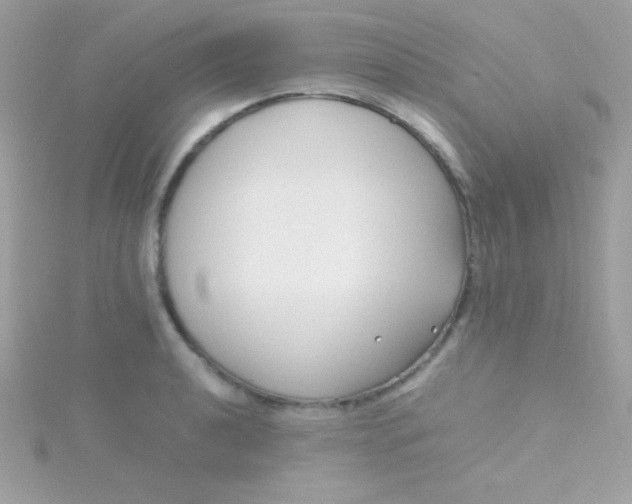 X0000115741040200911251955