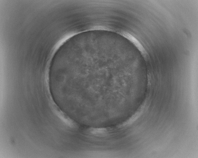 X0000115741043200911251955