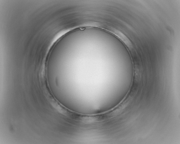 X0000115741044200911251955