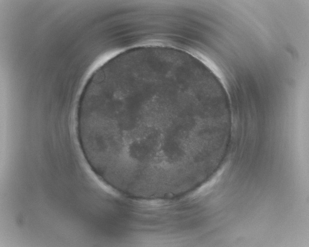 X0000115741045200911251955