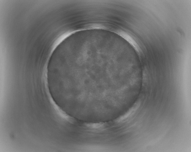 X0000115741047200911251955