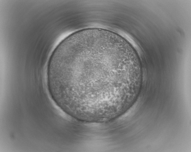 X0000115741048200911251955