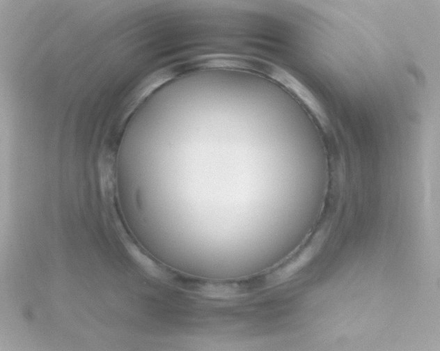 X0000115741049200911251955