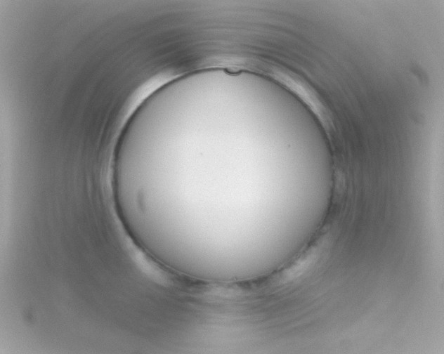 X0000115741050200911251955