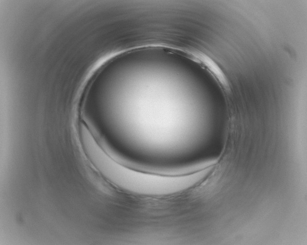 X0000115741051200911251955