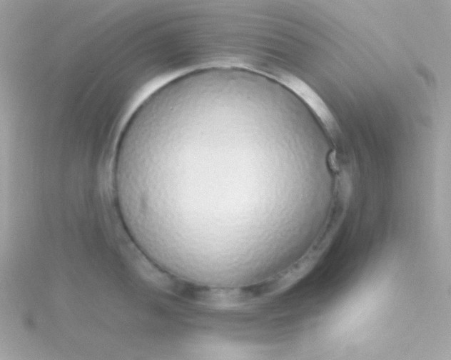 X0000115741052200911251955