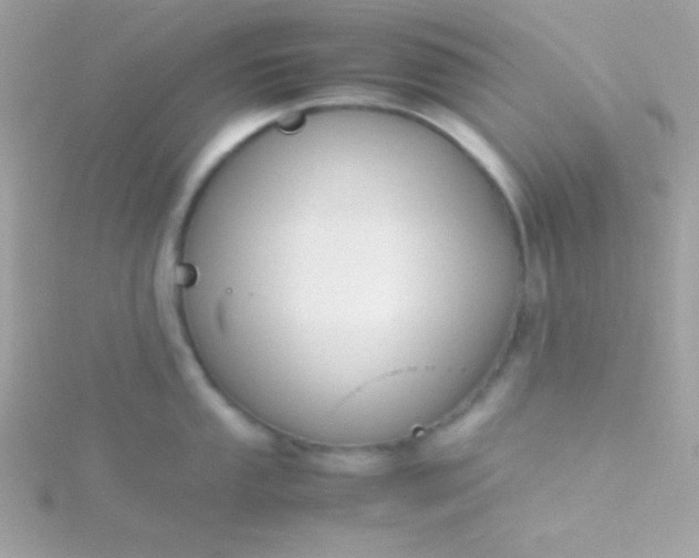 X0000115741053200911251955