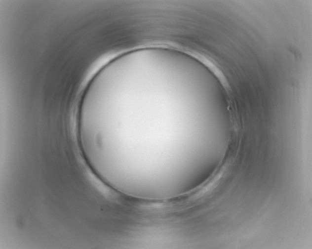 X0000115741054200911251955