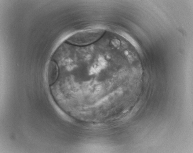 X0000115741055200911251955