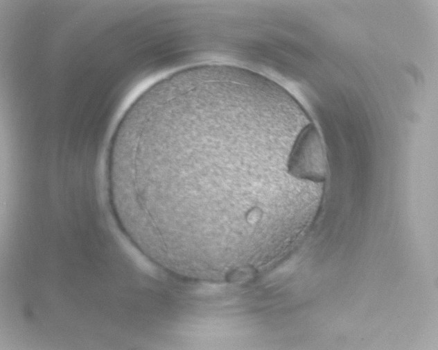 X0000115741056200911251955