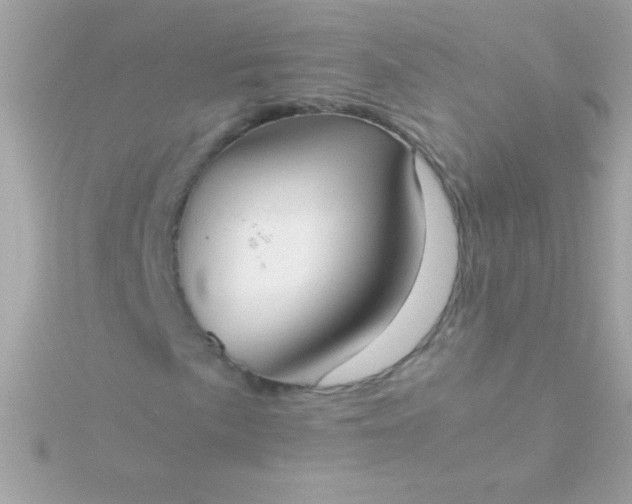 X0000115741057200911251955