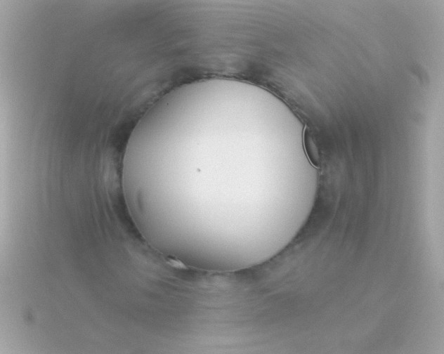 X0000115741058200911251955