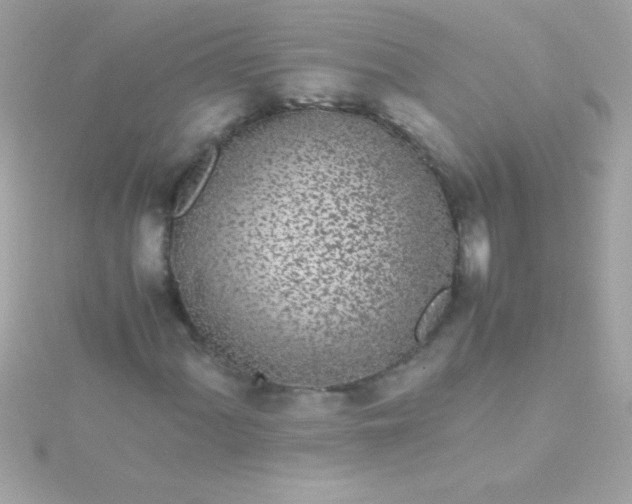 X0000115741060200911251955