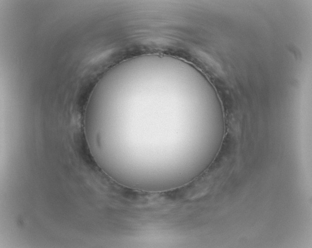 X0000115741061200911251955