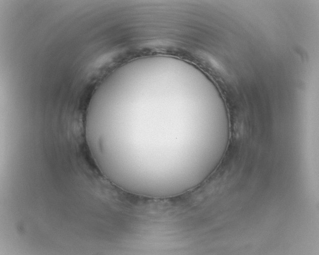 X0000115741062200911251955