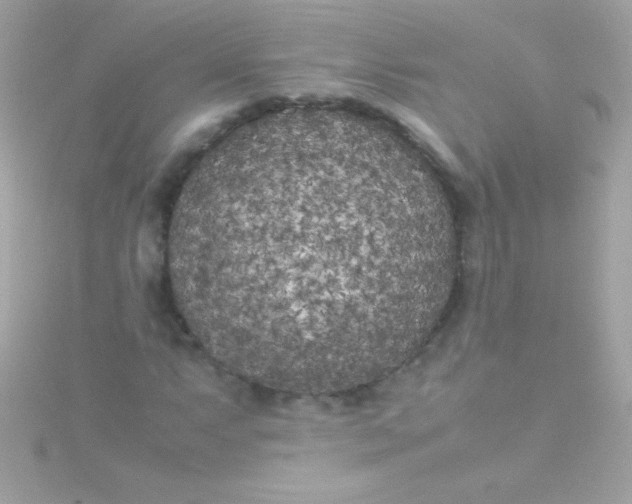 X0000115741063200911251955