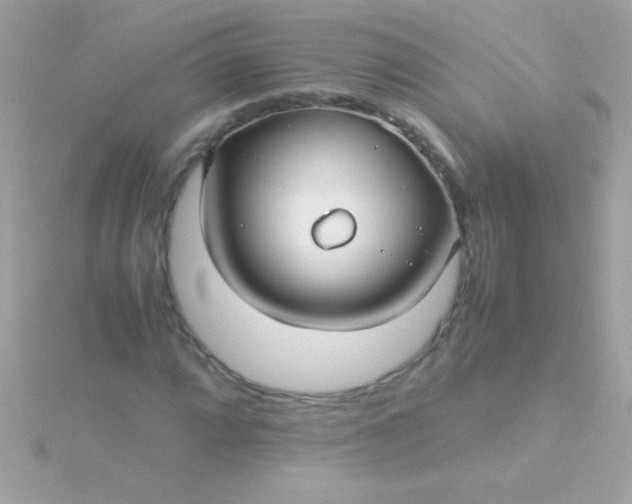 X0000115741064200911251955