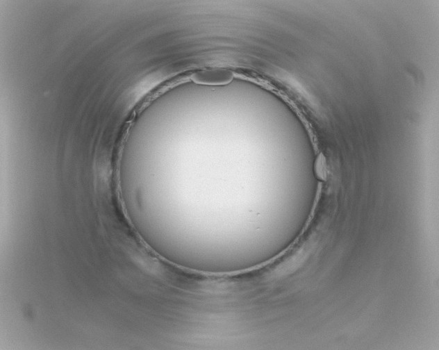 X0000115741065200911251955