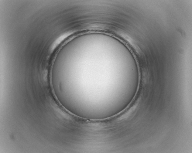 X0000115741066200911251955