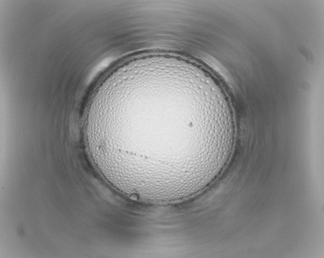 X0000115741067200911251955