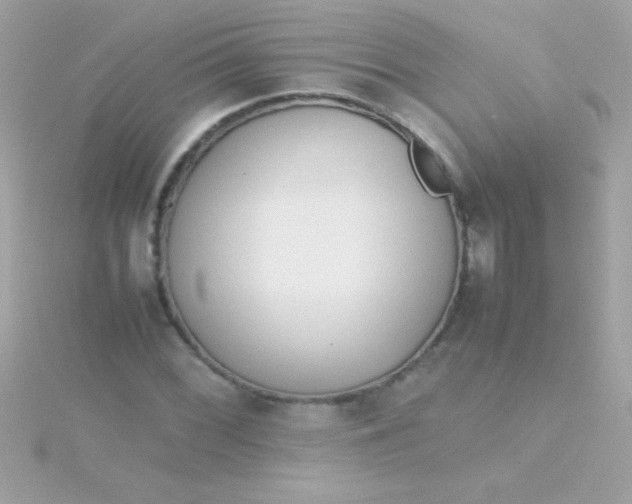 X0000115741068200911251955