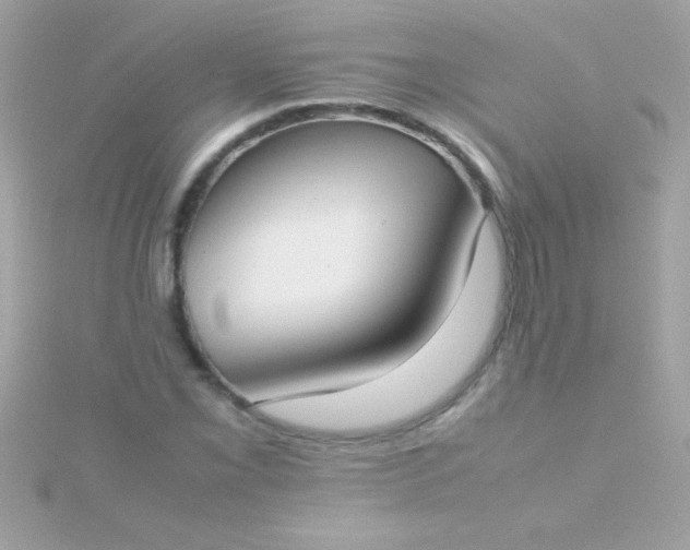 X0000115741069200911251955