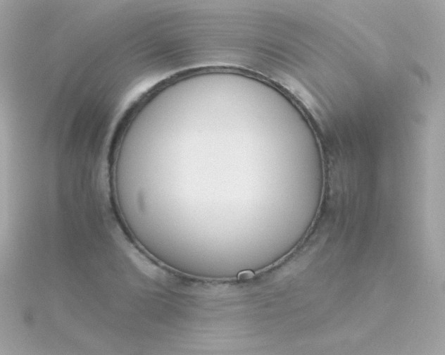 X0000115741072200911251955