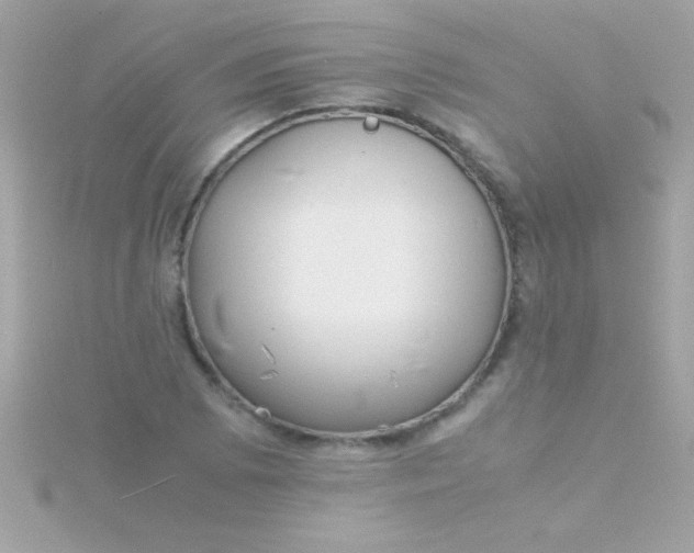 X0000115741073200911251955