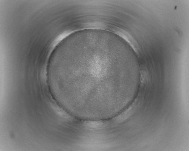 X0000115741074200911251955