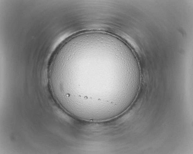 X0000115741075200911251955