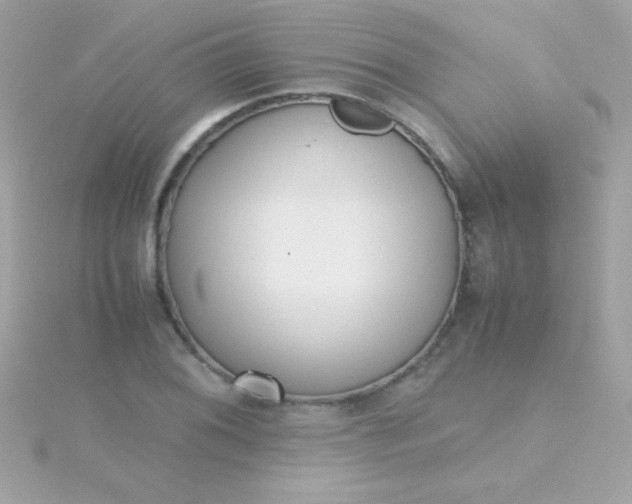 X0000115741076200911251954