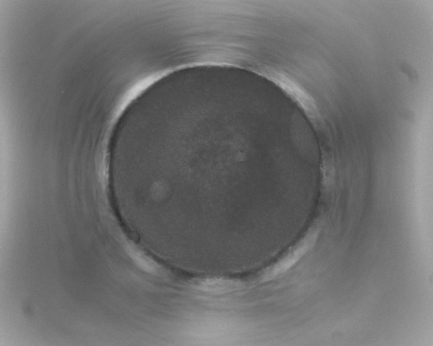 X0000115741077200911251954