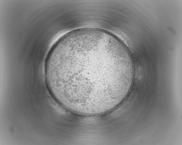 X0000115741078200911251954