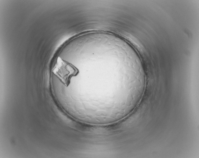 X0000115741079200911251954