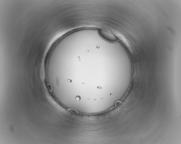 X0000115741080200911251954