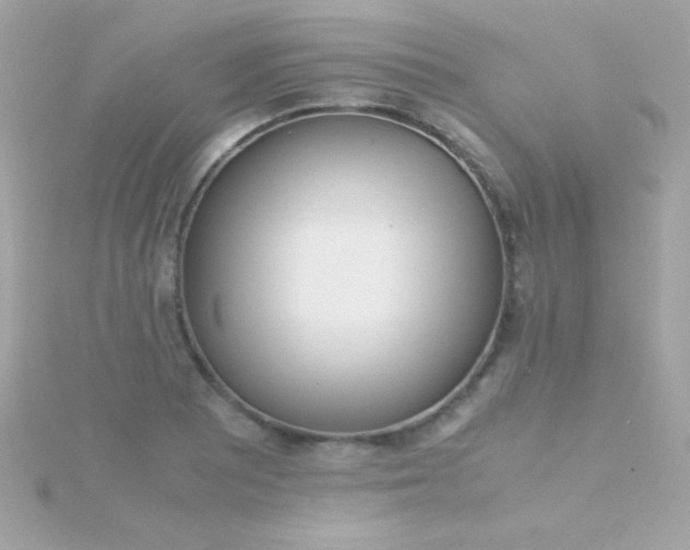 X0000115741081200911251954