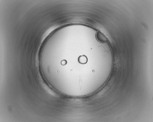 X0000115741082200911251954