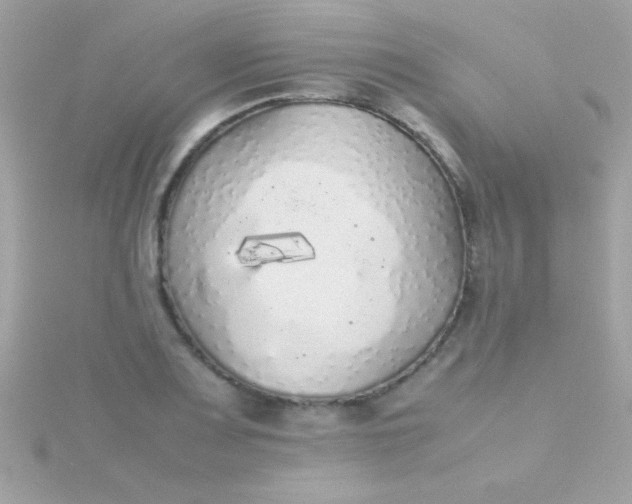 X0000115741083200911251954