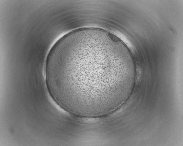 X0000115741084200911251954