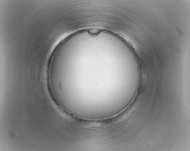 X0000115741085200911251954