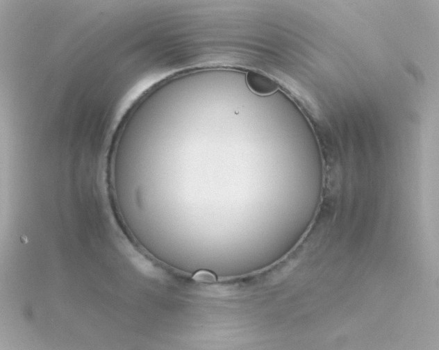 X0000115741086200911251954